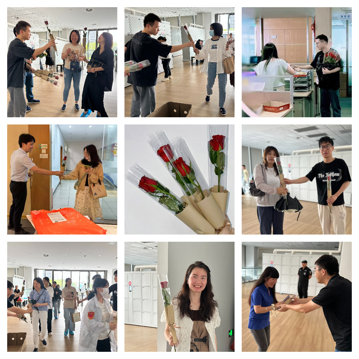 以玫瑰之名，致敬每一個發(fā)光的你(圖2)